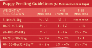 Salmon GrainIn Feeding Chart Puppy