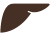 Liver
